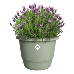 amiga rond 35cm thyme green